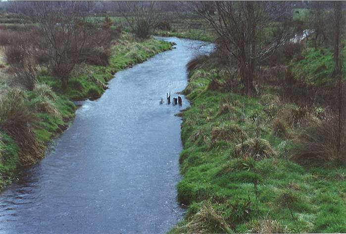 Site of the experiment to measure velocity-dependent, sediment deposition rates.