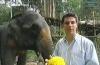 Craig Doyle Elephant