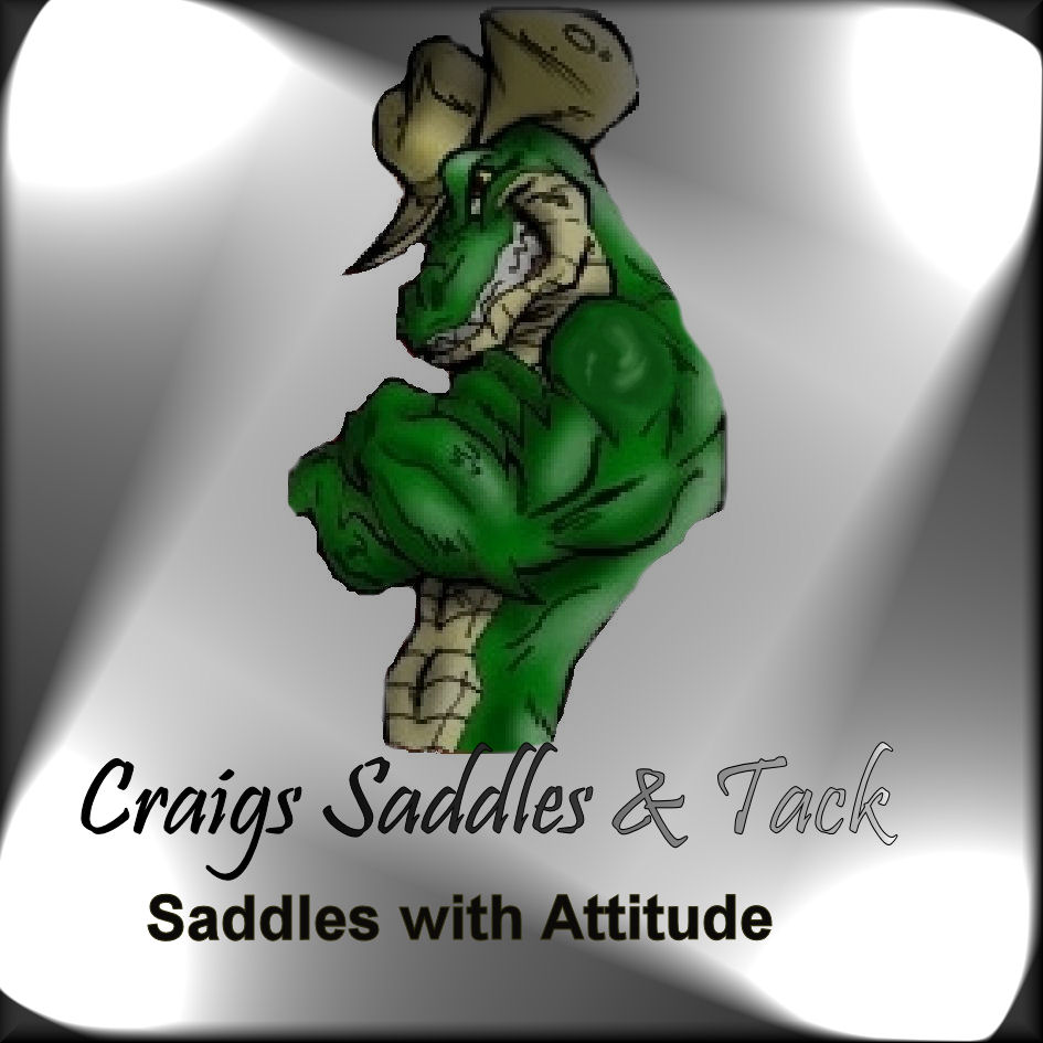 Craigs Saddle