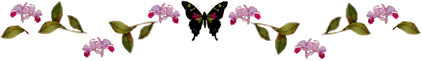 This Website is devoted to Butterflies,Pictures,information, 
gardening for butterflies,Behaviors,Trivia,Tips,Caterpillar life cycle and much More.