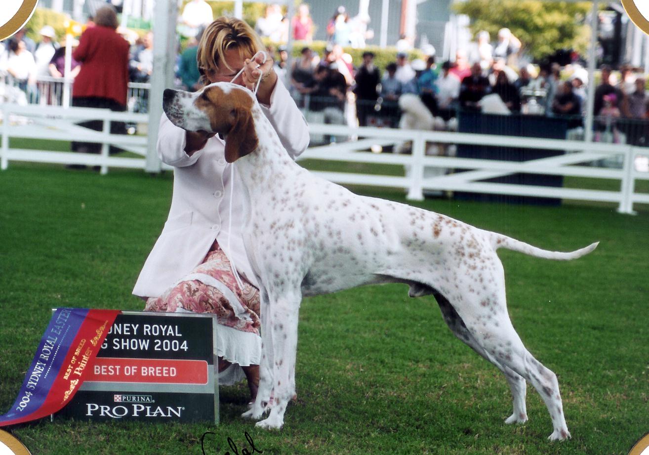 Breeze Best In group Sydney Royal