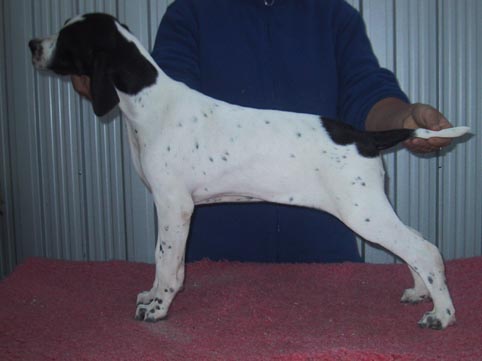 Indy3mnths