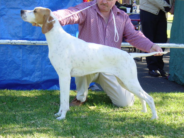 DIXIE 18MNTHS