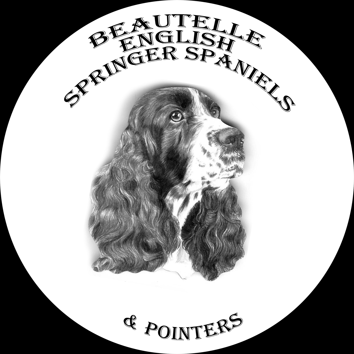 Click here for Springers