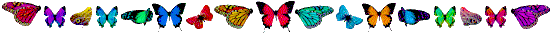 Rainbow Butterflies