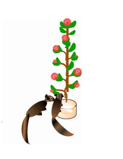 Squirrels