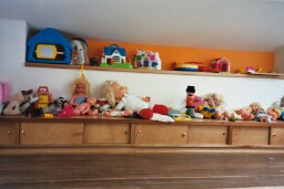 CRAN toys