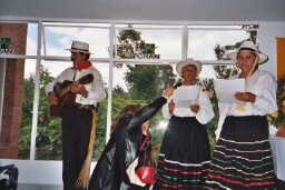 Musicians in traditional costumes