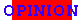 p-opinion.gif (1055 bytes)