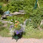 DSC00029