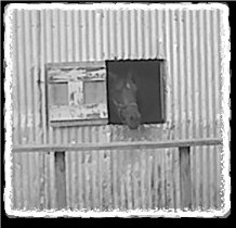 Patch in the Barn