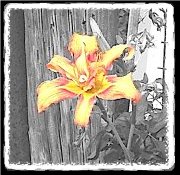 Something Pretty