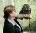 Bared Owl Closeup