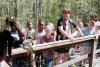 Learning on the Boardwalk