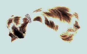 ponytail.jpg (14769 bytes)