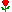 Red rose