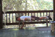 naptime.jpg (46383 bytes)