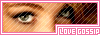 Love-Gossip.tk
