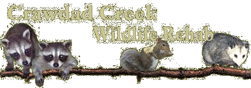 CDC banner