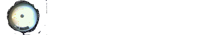 jupiter 2.gif (113635 bytes)
