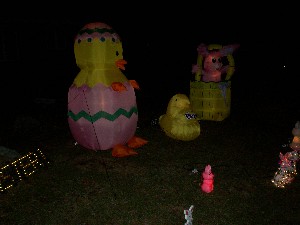 This pic is kinda dark