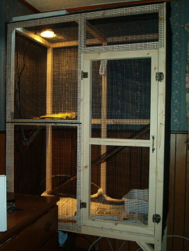 She took to her new cage right away.  Better than being in a small rabbit cage!