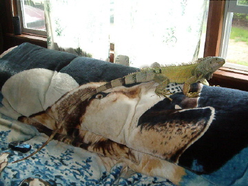 Catching some rays May 15, 2004