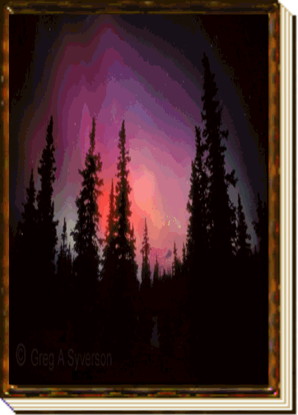 FREE GUESTBOOKS
