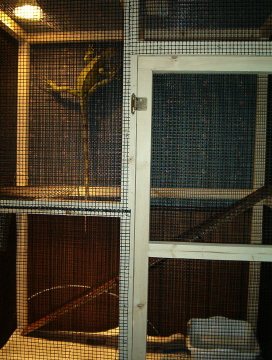 Investigating new cage!
