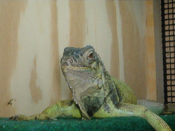 whatcha lookin at!