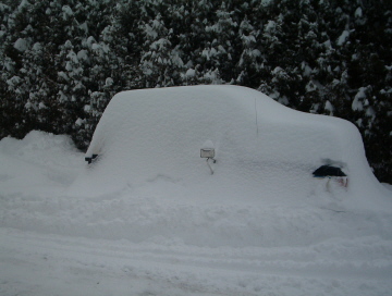 BURIED!!!!