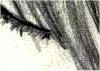 eyes galore! ... click here to see more (hey it rhymes!)