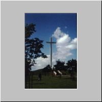 kreuz_dublin_t.jpg