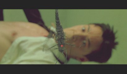 Ewwwww....... creepy-crawly-thing.......