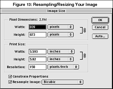 fig13.gif (19192 bytes)