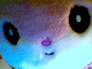 this is my twin pinki lilli