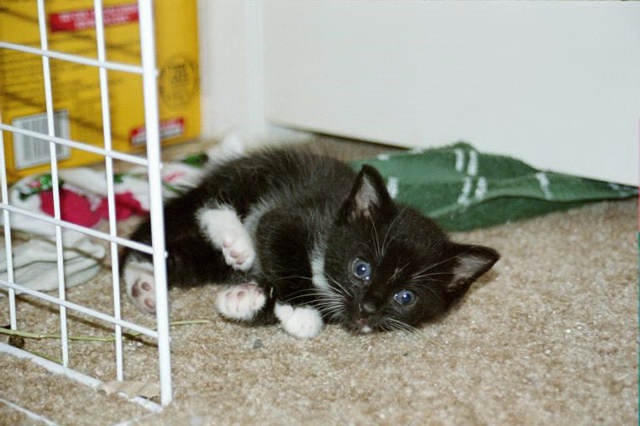 CALLIE!