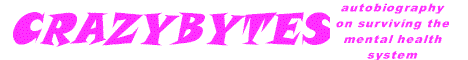 crazybytes banner