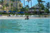bahamaweb11.jpg (322692 bytes)