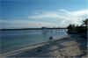 bahamaweb15.jpg (236033 bytes)