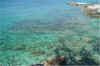 bahamaweb27.jpg (318668 bytes)