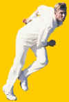 brett_action.jpg (7016 bytes)