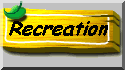 logs_vh.gif