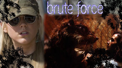 Brute Force