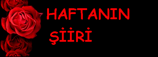 Haftan�n �iiri