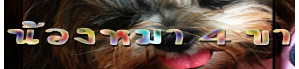 dogshelter