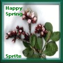 Thank You, Sprite!