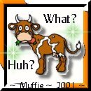 Thanks Muffie!