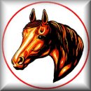Amish Carriage Horse