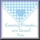 Thanks Toto!